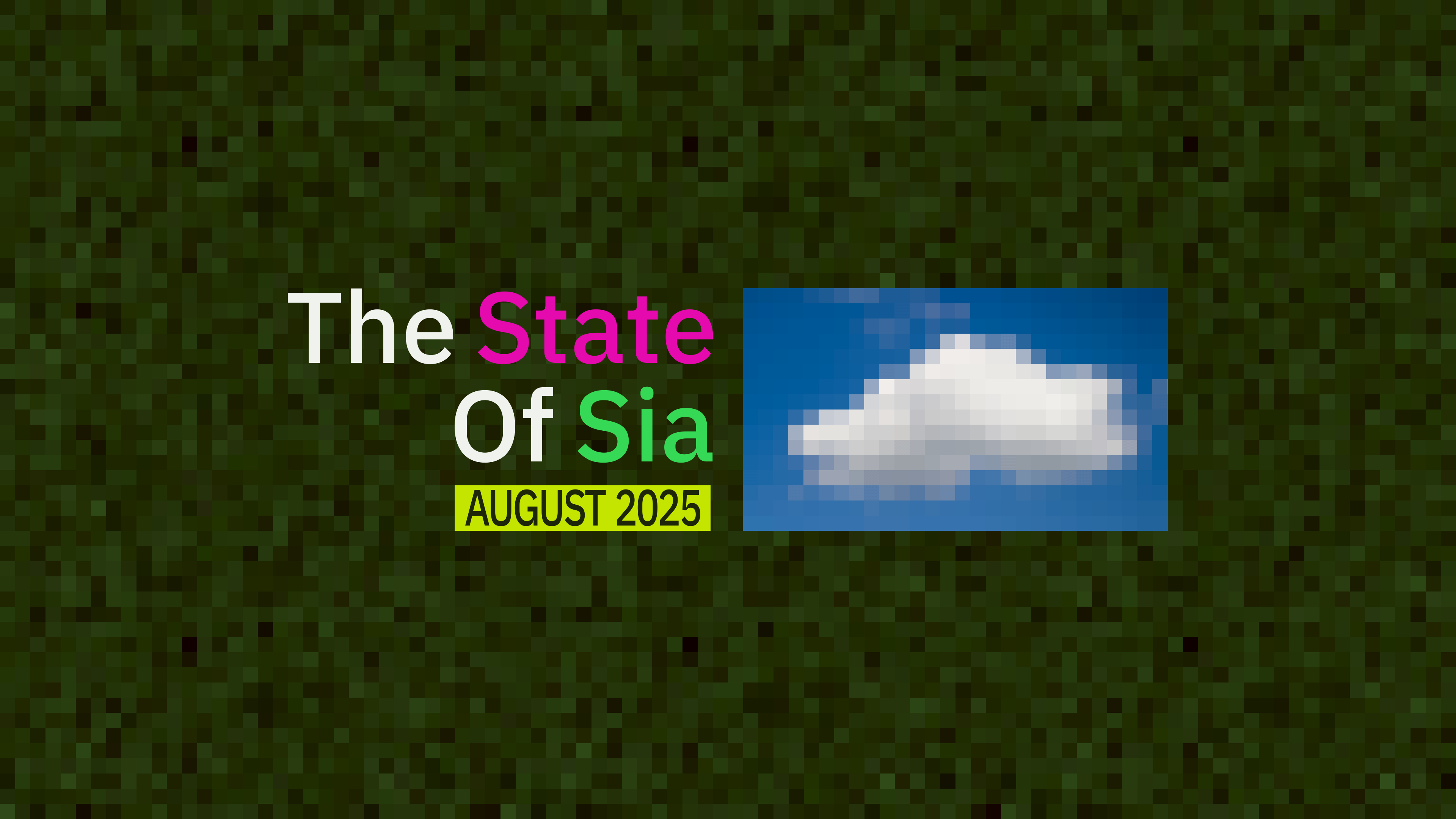SIA CLOUD STORAGE NETWORK visual data 2